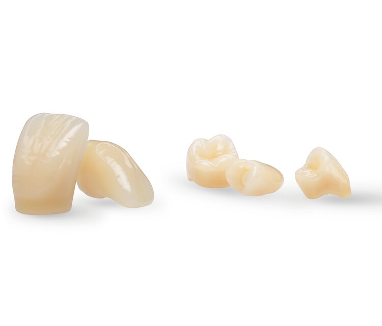 SR Vivodent S PE S DCL Prefabricated Teeth Ivoclar USA